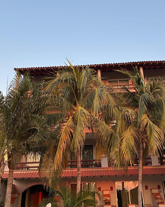 Hotel Bonito's inner facade with palms and balconies under a blue sky